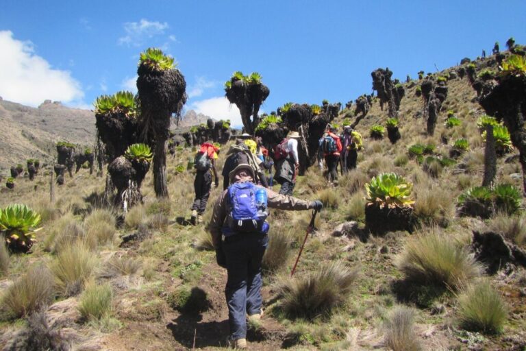 Umbwe route kilimanjaro hiking