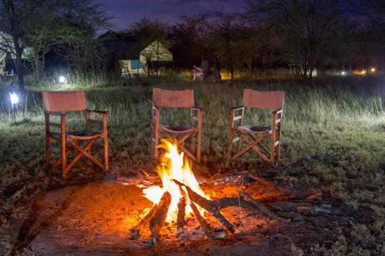 tanzania wildlife safari tented camps