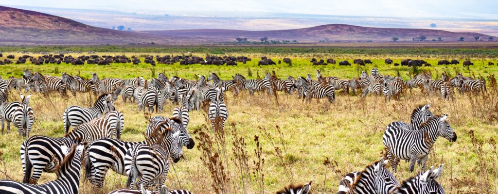 Lake Manyara National Park Tanzania