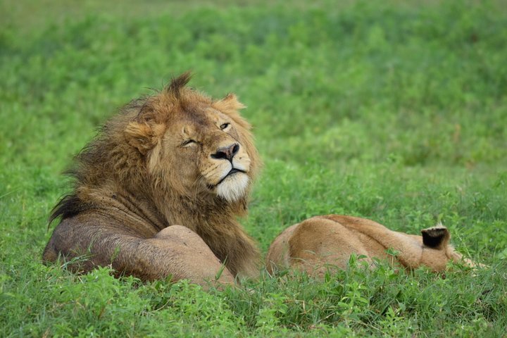 Serengeti National Park Tanzania