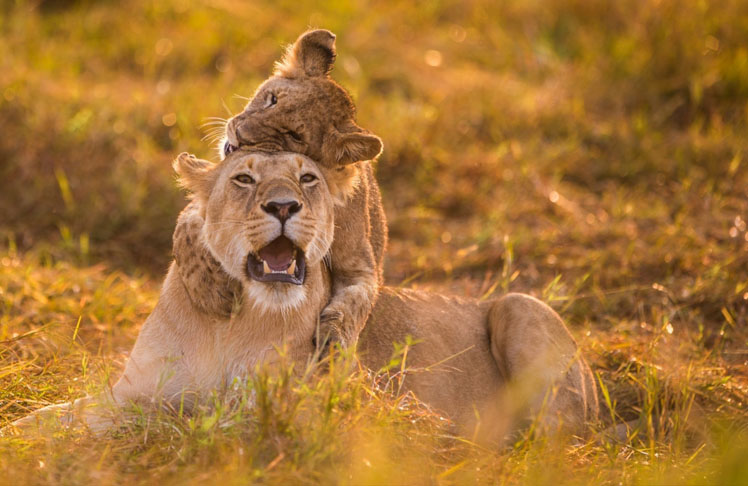 Serengeti National Park