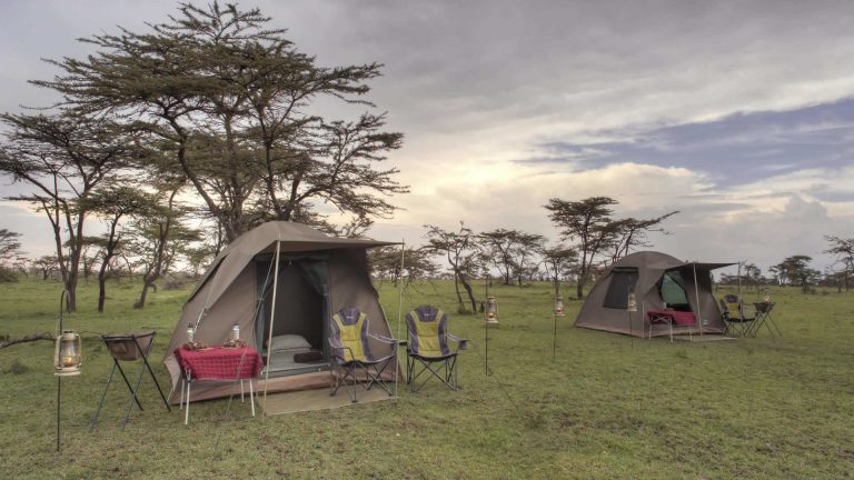 1753343919925-Cost of a budget Serengeti safari lodge on a Budget Tanzania safari tour